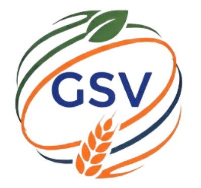 Global Sphere Ventures